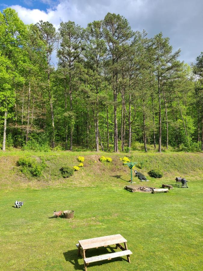 Blue Sky Inn- Complimentary Happy Hour Th-Sun, Veteran Owned, Full Breakfast, Best Green Space, 1 Mile From Blue Ridge, Fire Pit 외부 사진